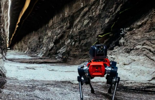 SKYTECH ANYmal, un robot cuatro patas que reemplace a las personas en entornos peligrosos
